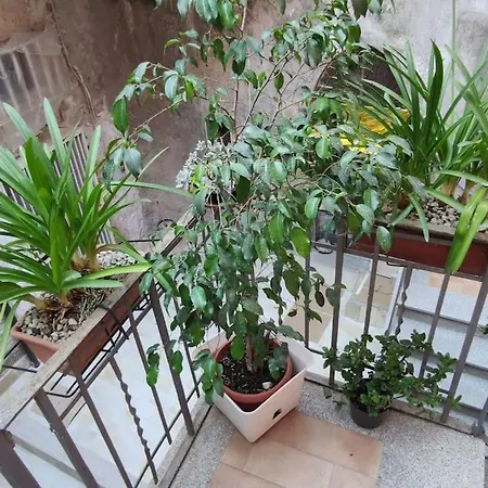 Apartment Casa Magna Graecia *